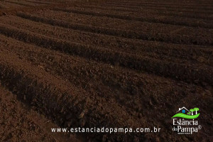 Fazenda com 1496 ha em Cachoeira do Sul localidade Irapu�.00_22_09_38.Quadro049_ad8cf93fe8dec40e568372236dde5c89d36e47e3.jpg